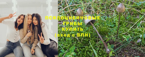 дмт Алзамай