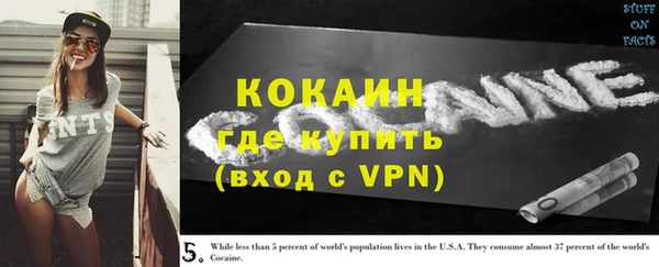 дмт Алзамай
