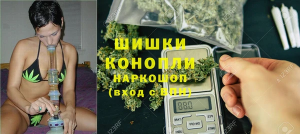 спайс Алексин