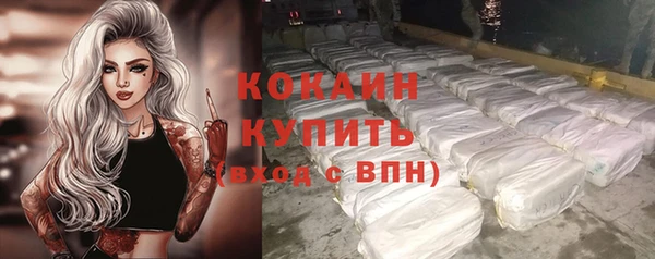спайс Алексин