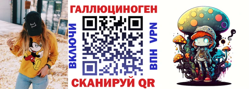 Галлюциногенные грибы Psilocybe  купить   блэк спрут сайт  Западная Двина 